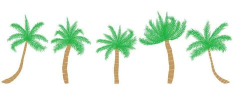 tropisch Palme Baum Satz. Vektor Illustration