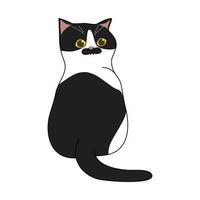 söt svart och vit tabby katt vektor