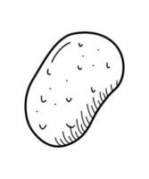 Kartoffel Knolle Symbol Gekritzel skizzieren. Vektor Illustration von ein Gemüse Wurzel Ernte auf ein Weiß Hintergrund.