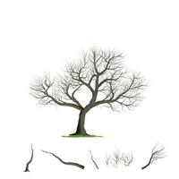 echt tot Baum Vektor Illustration