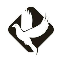 elegant flyga fågel logotyp på svart och vit vektor