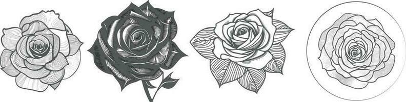 Rosen Hand gezeichnet Bleistift skizzieren, Färbung Buchseite, und Buch, Rose Blume Umriss, Illustration Tinte Kunst. Rose Vektor Kunst.