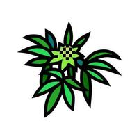 Cannabis Kraut Pflanze Farbe Symbol Vektor Illustration