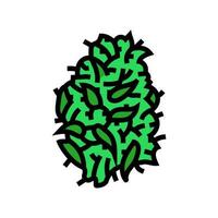 cannabis knopp växt Färg ikon vektor illustration