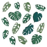 stor uppsättning av grön monstera löv. platt design klistermärken. grupp av ikoner illustration isolerat på vit bakgrund vektor