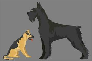 realistisk hund vektor. två hundar vänd varje Övrig Sammanträde och stående, vektor illustration