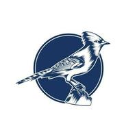 blå jay fåglar logotyp detaljerad på blå med en cirkel vektor
