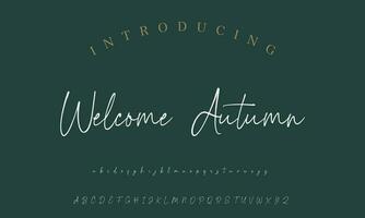 Unterschrift Schriftart Kalligraphie Logo Skript Bürste Schriftart Art Schriftart Beschriftung handgeschrieben vektor