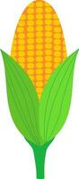 eben Illustration von Mais Pflanze Symbol. vektor