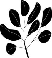 eukalyptus - svart och vit isolerat ikon - vektor illustration
