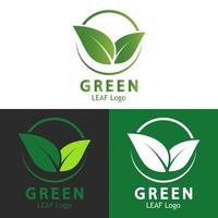grönt blad logotyp ekologi natur vektor