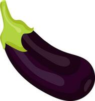 Aubergine Illustration Vektor Farbe