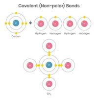 chemisch Fesseln Bildung Vektor Illustration Infografik