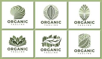 dekorativ organisch vegan Blatt Logo Design. Luxus abstrakt Pflanze Blatt Logo. vektor