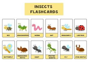 süße Insekten mit Namen. Karteikarten für Kinder vektor