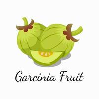 Garcinia Obst Illustration natürlich gesund Kunst Symbol Design Vektor