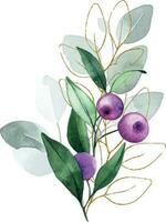 Aquarell Zeichnung, ein Strauß von Blumen und Blätter von Eukalyptus mit golden Elemente vektor