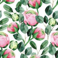 Aquarell nahtlos Muster mit Rosa Rose und Pfingstrose Blumen und Grün Eukalyptus Blätter auf Weiß Hintergrund vektor