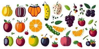 Vektor Kunst von Zitrusfrüchte Früchte vereinbart worden im ein bunt Rad