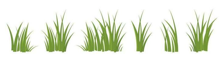 tecknad serie gräs löv samling vektor illustration isolerat på vit