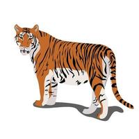 Tiger stehende Vektorillustration in der flachen Art clipart vektor