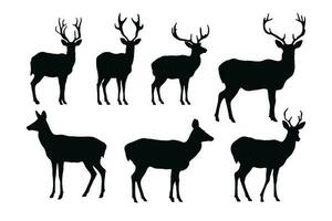 Hirsch Silhouette Vektor Sammlung auf ein Weiß Hintergrund. schön männlich Gazelle mit groß Hörner Silhouette einstellen Design. Hirsch und Rentier Stehen, schwarz und Weiß Silhouette Vektor bündeln.