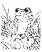 Hand gezeichnet Vektor Färbung Seite von karikaturistisch Frosch. Färbung Seite zum Kinder und Erwachsene. drucken Design, T-Shirt Design, tätowieren Design, Wandgemälde Kunst, Linie Kunst