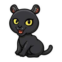 süß wenig schwarz Panther Karikatur vektor