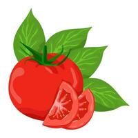 einstellen von Tomaten isoliert auf Weiß Hintergrund Blätter Vektor Element. einstellen von ganz, Schnitt im Hälfte, geschnitten auf Stücke