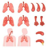 Mensch Lunge Vektor Clip Kunst Symbol. copd Vektor Illustration, chronisch obstruktiv Lungen Erläuterung