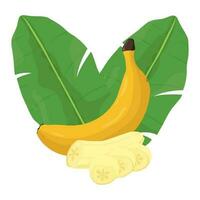 einstellen von Banane isoliert auf Weiß Hintergrund Blätter Vektor Element. einstellen von ganz, Schnitt im Hälfte, geschnitten auf Stücke