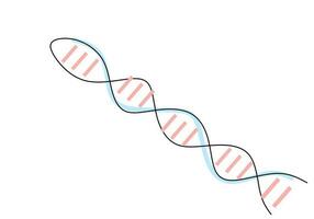 ett kontinuerlig enda linje teckning av dna isolerat på vit bakgrund vektor