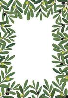 oliv grenar gräns ram. vektor illustration. isolerat på vit bakgrund. oliv grenar illustration sammansättning.