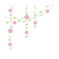 hängande vinstockar med rosa blommor vektor illustration. enkel minimal blommig botanisk vin ridå design element för vår.