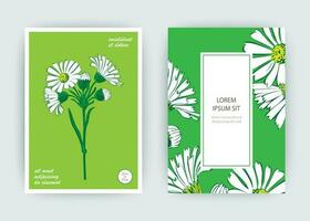 botanisch Chrysantheme Blumen Strauß Vektor Illustration Grafik Design. Jahrgang kreativ Blume rahmen. Vektor Illustration Gruß Karte, Design, Poster, drucken, Party, Hochzeit Einladung, Geburtstag