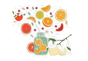 Weinlese-Zitrusfrucht-Bestandteil-Illustrations-Vektor vektor