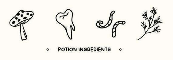 samling av hand dragen trolldryck Ingredienser. trolldom och helloween element i klotter stil vektor