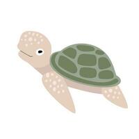 süß Karikatur Meer Schildkröte , eben Stil Illustration. vektor