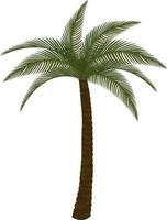 isoliert Palme Baum im Grün und braun Farbe. vektor