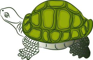 linje konst illustration av sköldpadda i grön Färg. vektor