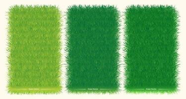 grön gräs banderoller, vektor illustration.