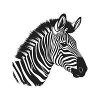 zebra, årgång logotyp linje konst begrepp svart och vit Färg, hand dragen illustration vektor