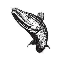 mosasaurus, årgång logotyp linje konst begrepp svart och vit Färg, hand dragen illustration vektor