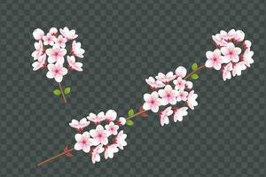 realistisch Blühen Kirsche Blumen und Blütenblätter Illustration, Kirsche blühen Vektor. Rosa Sakura Blume Hintergrund. Kirsche blühen Blume Blühen Vektor