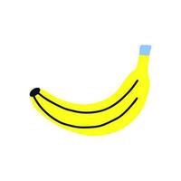 tropisch Acid Obst isoliert Gelb Banane vektor