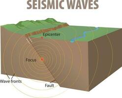 illustration av seismisk vågor diagram vektor