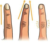 Illustration von Finger Typen vektor