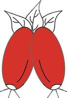 Hagebutte mit Blätter Symbol im rot und Weiß Farbe. vektor