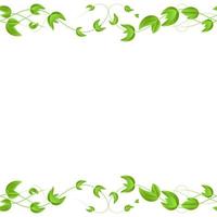 Vektor horizontale nahtlose Grenze mit grünen Weiden Efeu Sprossen und Blätter