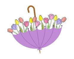 Strauß von Tulpen im ein Regenschirm. Frühling Illustration, Postkarte, Vektor